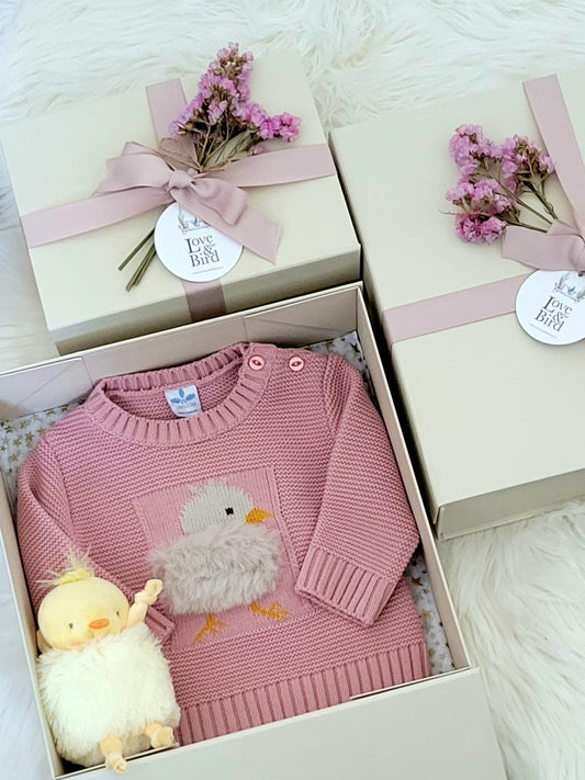 Baby Girl Gift Box