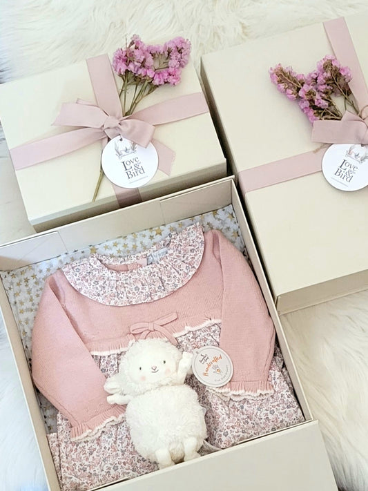 Baby Girl Gift Box