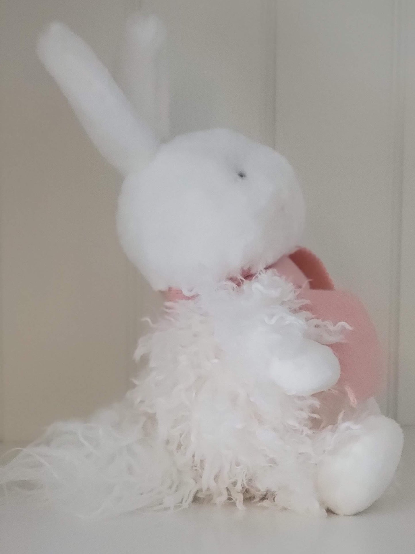 Aurora Angora Rabbit from Bunnies by the Bay